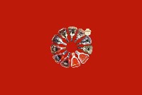 雅江回收红酒